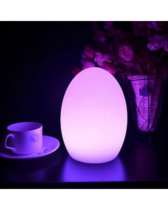 Lampe de table LED ovale